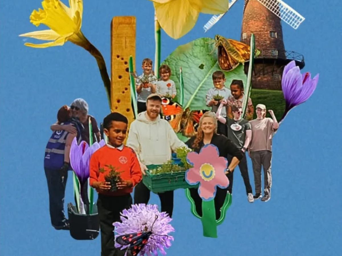 Pick Of The Week (1200 X 900 Px)