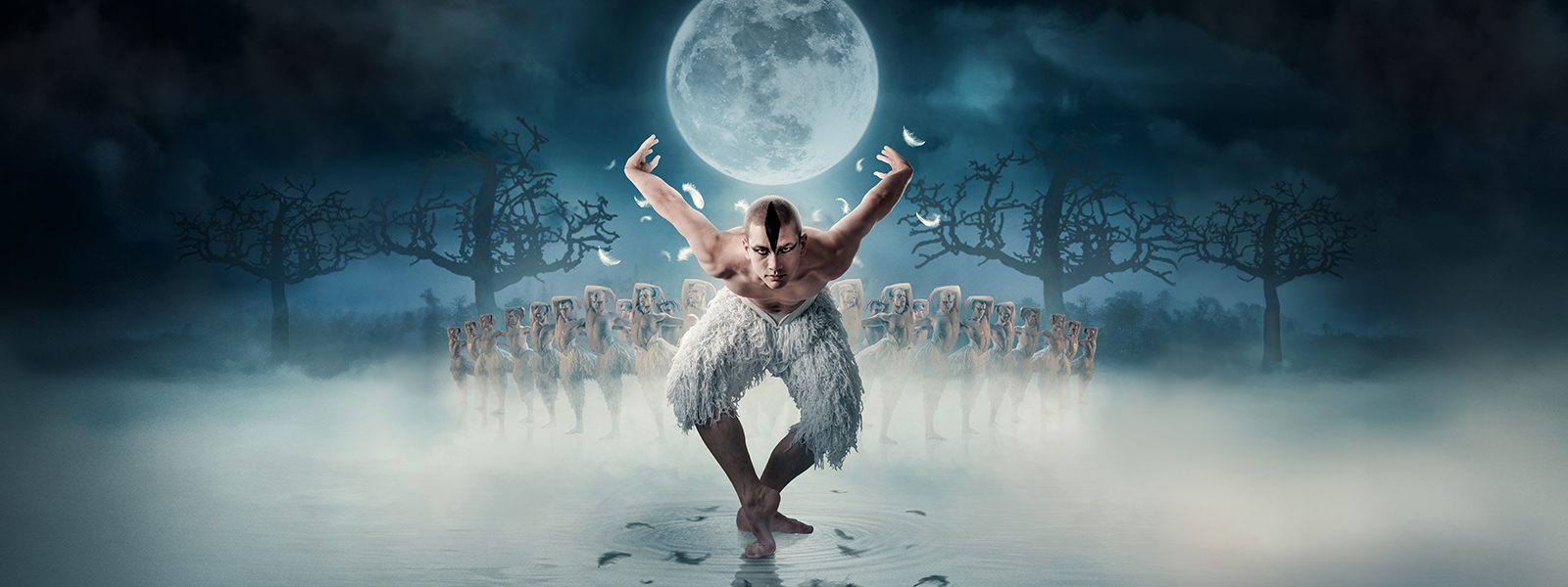 MB Swan Lake Hero Image