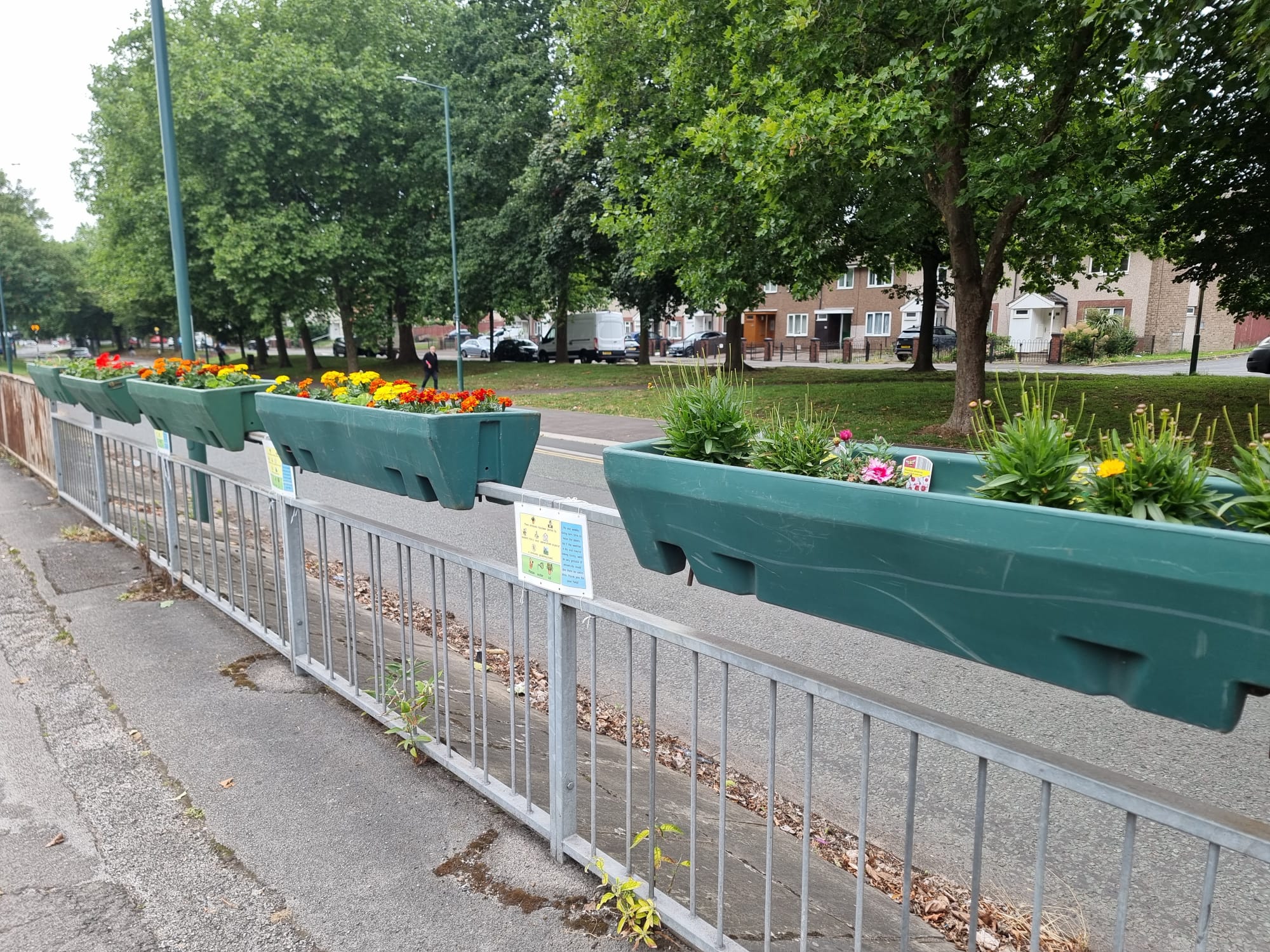 IMG 20251209 WA0000(1)