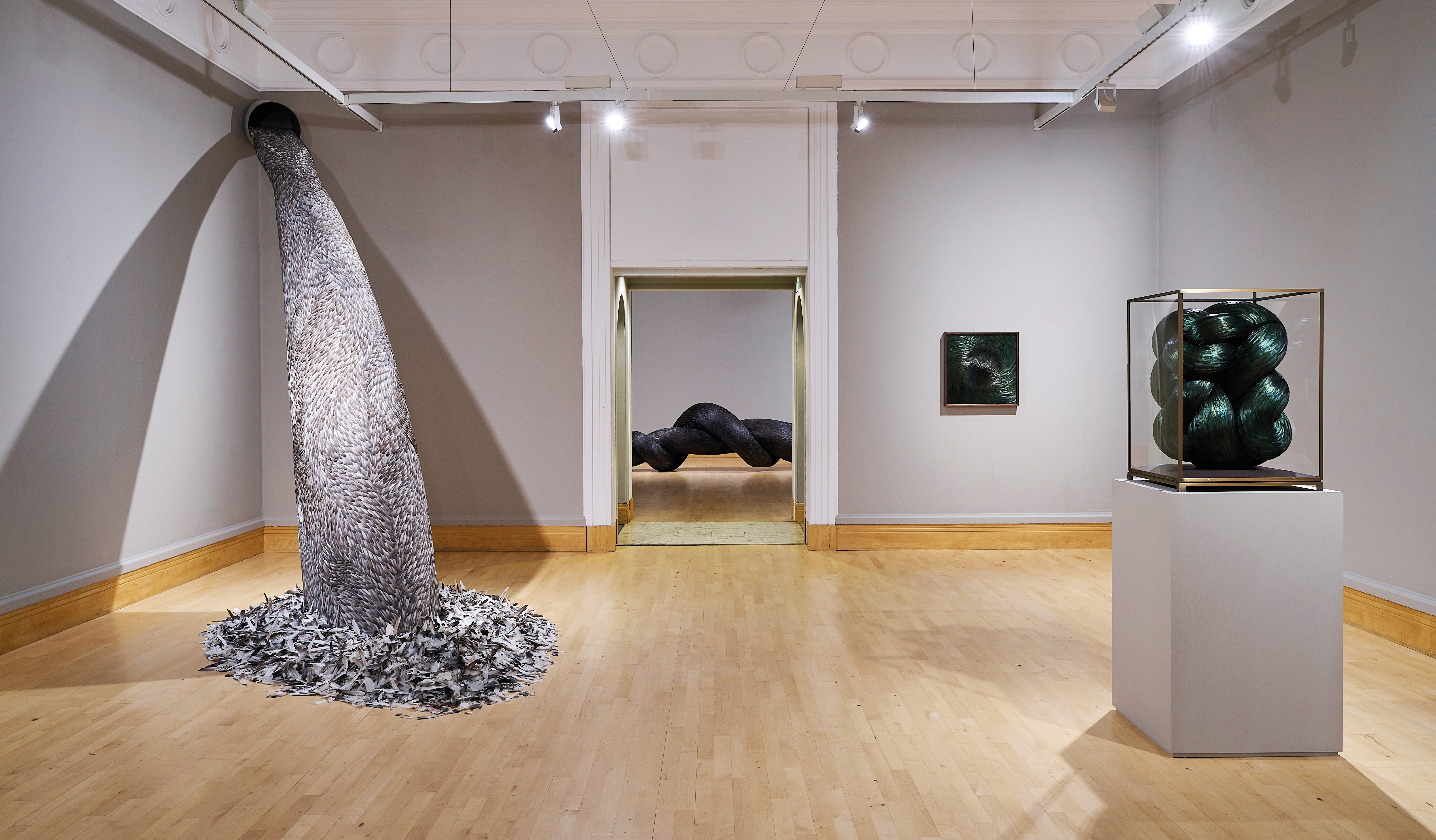 Quiver2 Credit Nick Dunmur