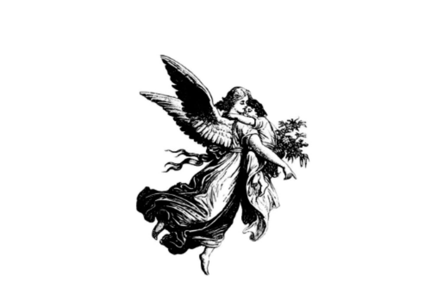 HEADER IMAGE NEWSLETTER (1)