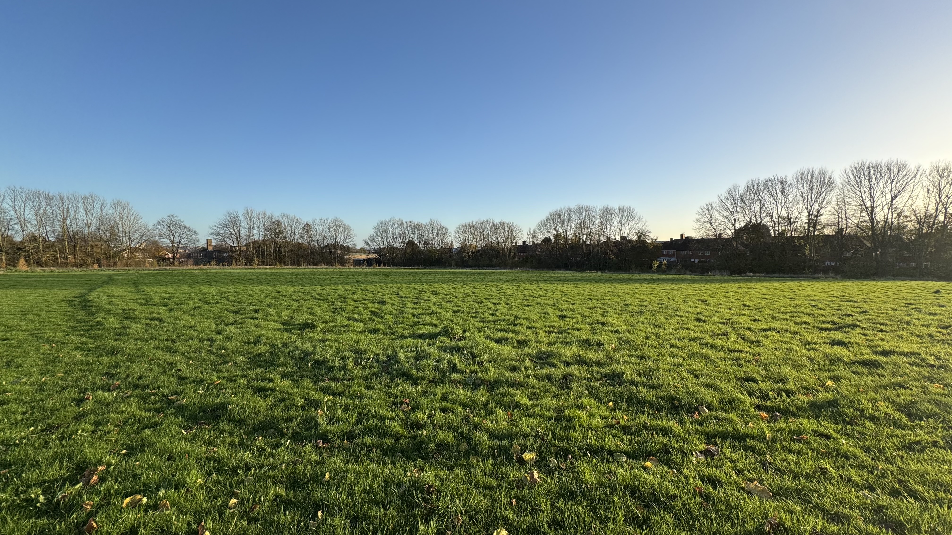 Meadow Area 1 (Pre Dig) (1)