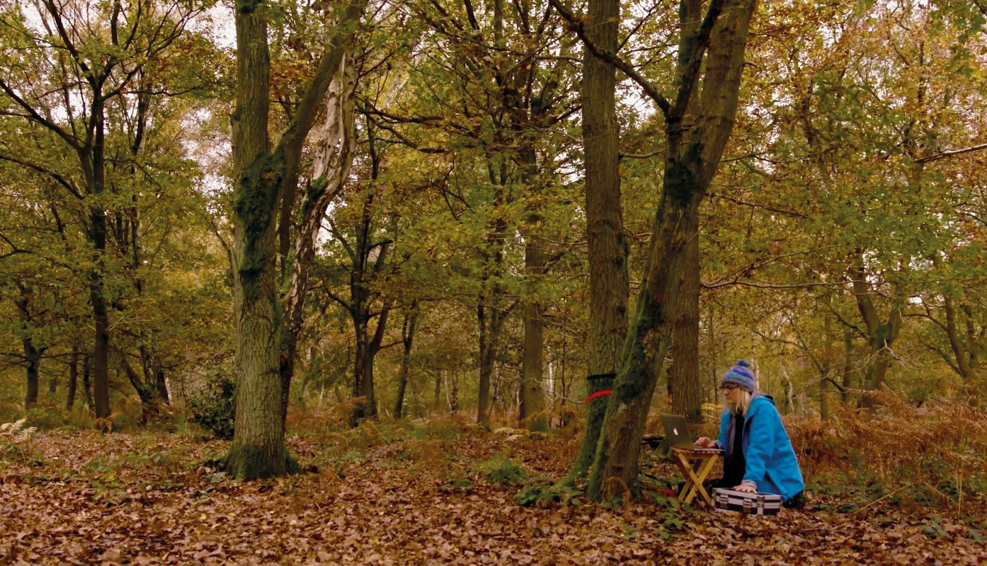 Recording Data For The Forest Bell (1)