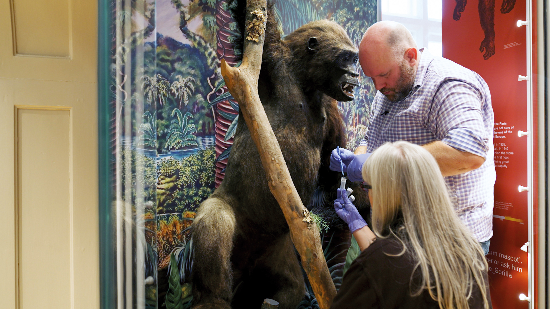 Credit Bright Spark Studios (3)