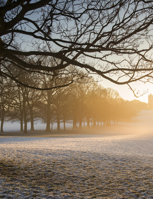 A Wollaton Winter (1)