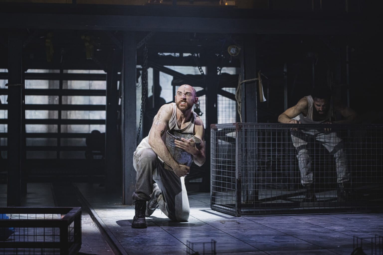 037Animalfarm08022024kirstenmcternan 1536X1024