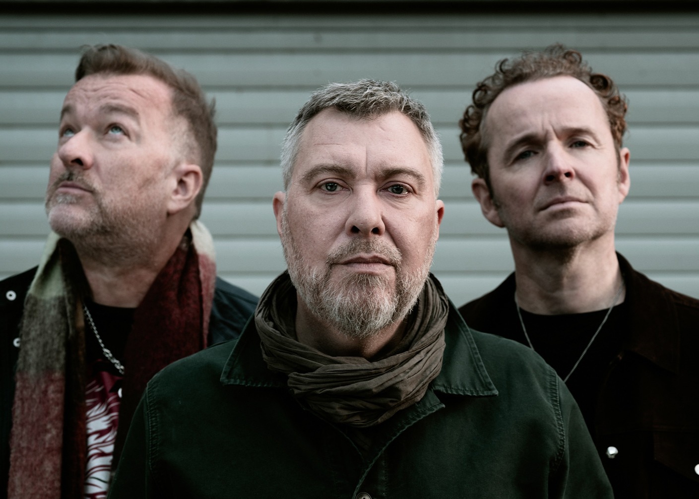 Doves October 2024 (C) Brian Stevens (Edited)