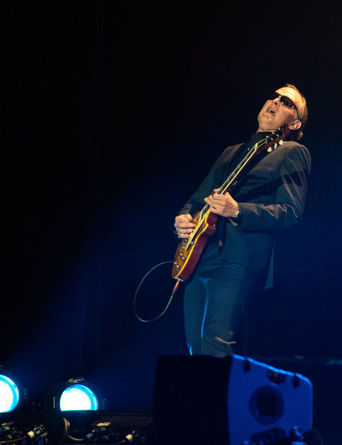 Joe Bonamassa (20)