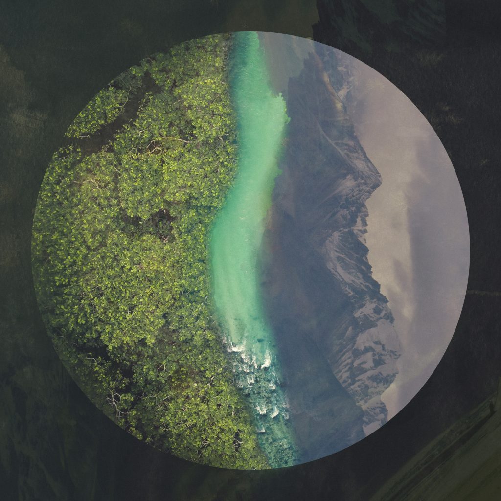 Blackadder Canopy Artwork 1024X1024