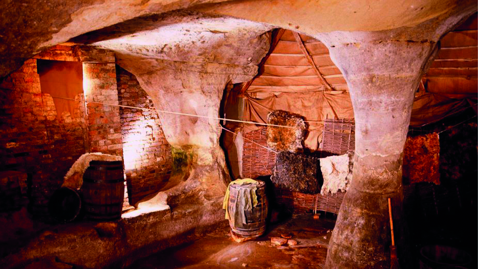 Fascinating Finds 1600 X 900