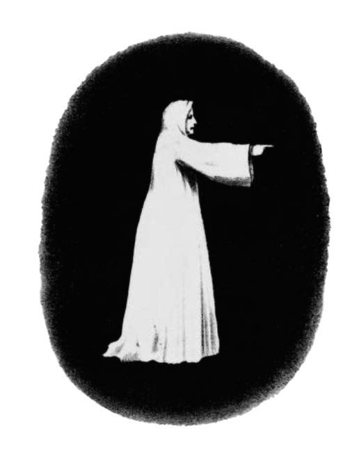 H. Brown; 1865 Spectropia 2