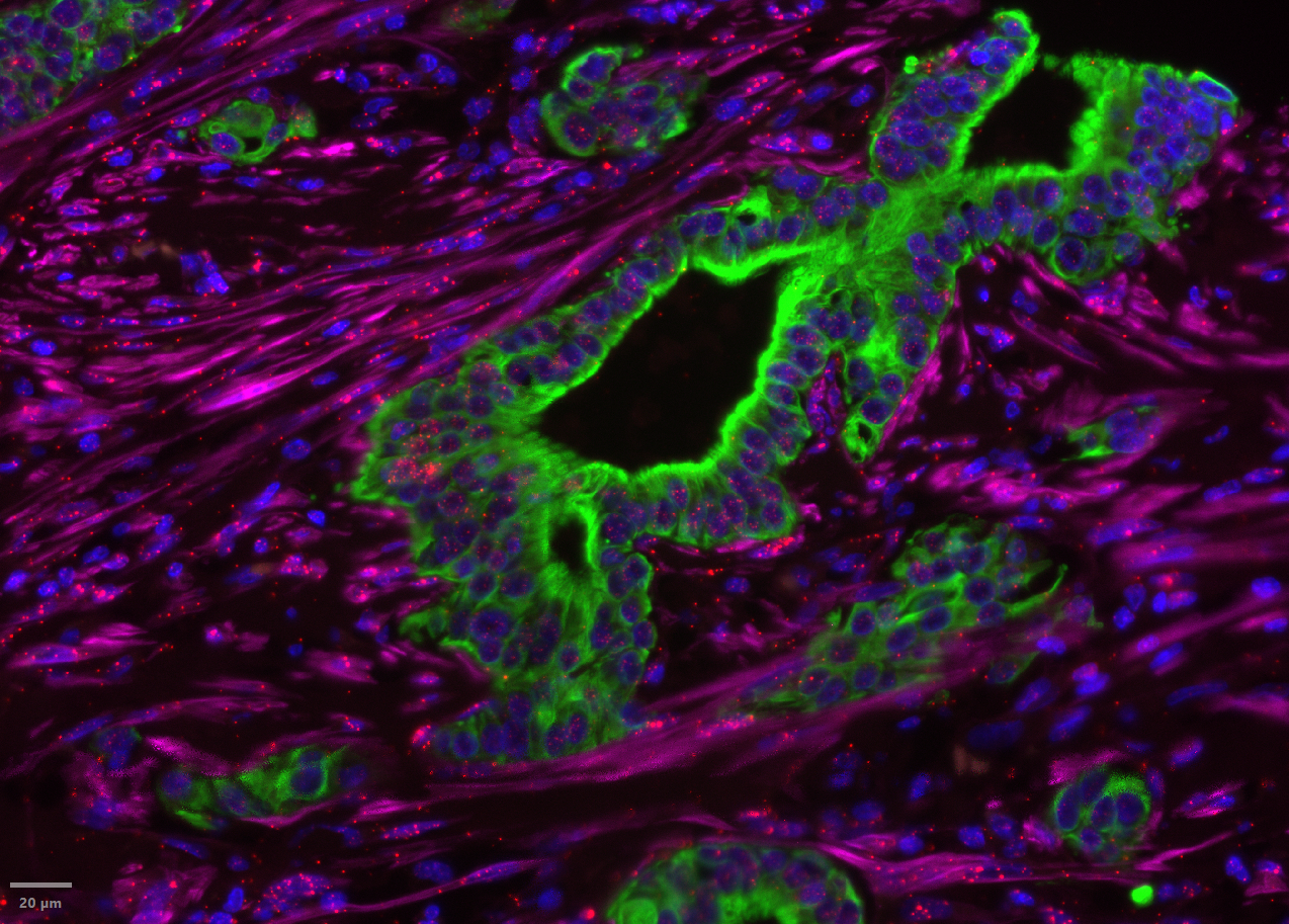 Shraddha Bajpai (2) (1)